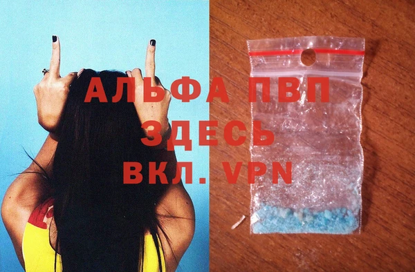 гашик Богданович