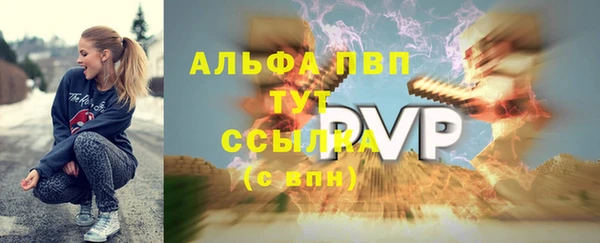 гашик Богданович