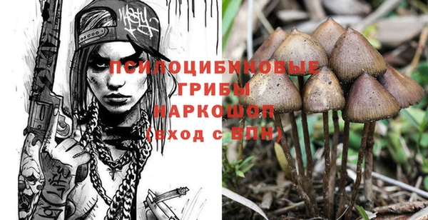 гашик Богданович
