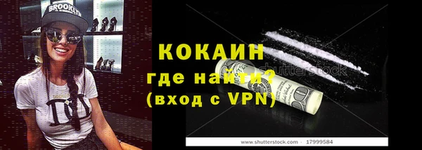 гашик Богданович