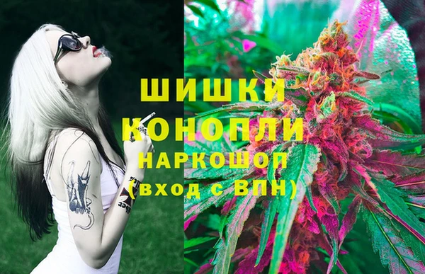 гашик Богданович