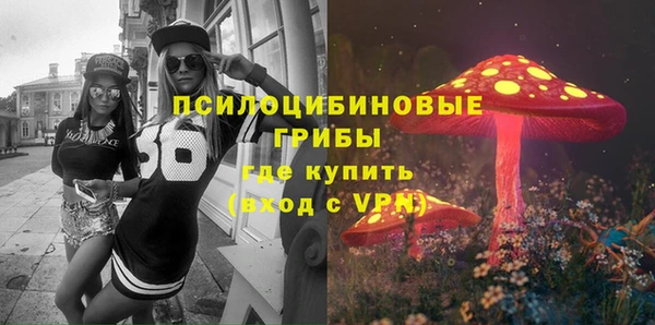 меф Богородицк