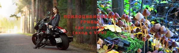 дживик Балахна