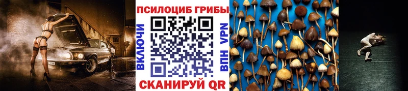 Псилоцибиновые грибы MAGIC MUSHROOMS  кракен   Новый Уренгой  наркотики 