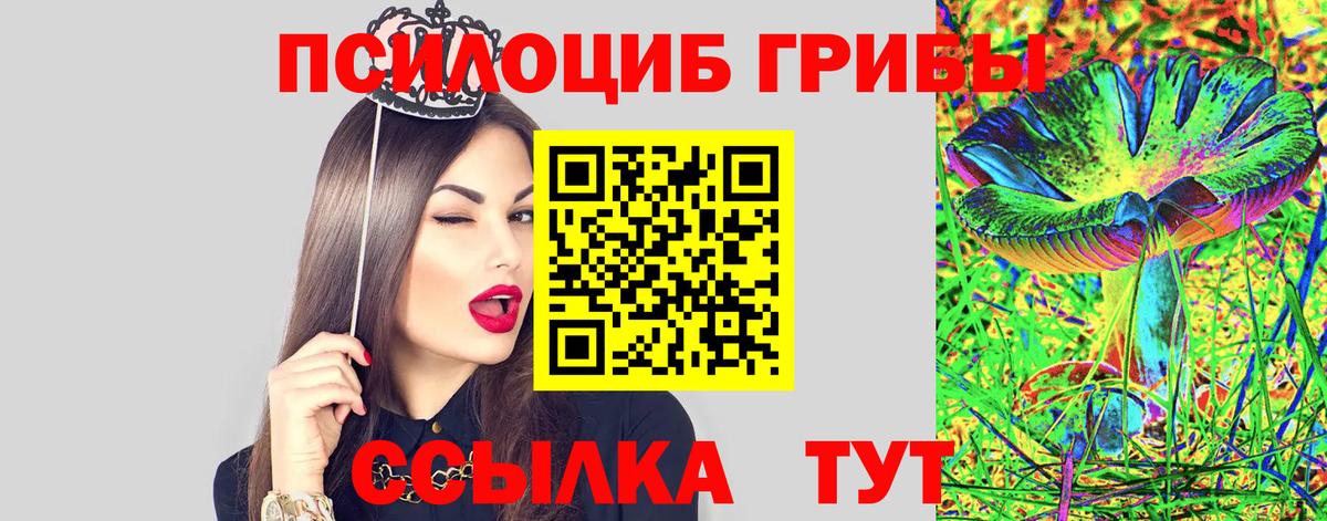 Галлюциногенные грибы прущие грибы  Вход с VPN  Новый Уренгой 