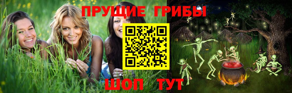 Псилоцибиновые грибы Cubensis Новый Уренгой